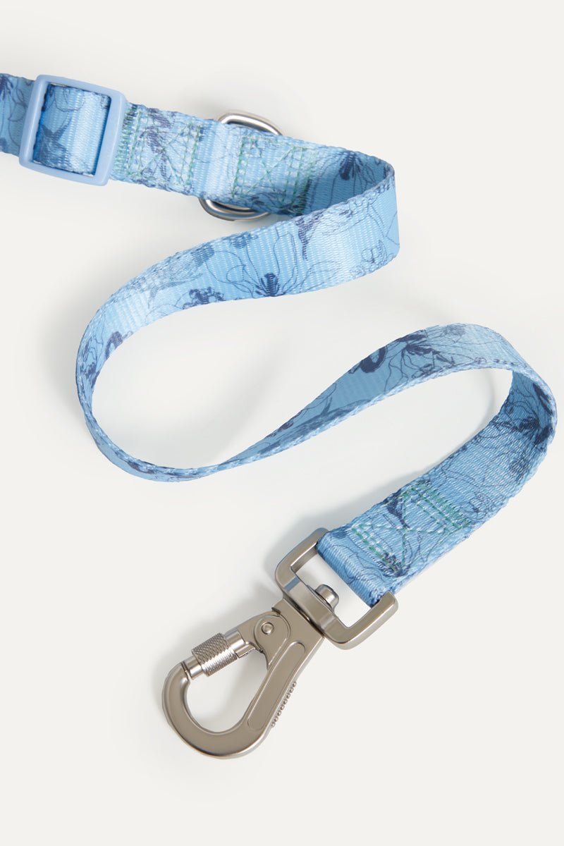 Blue Flower Walk Set