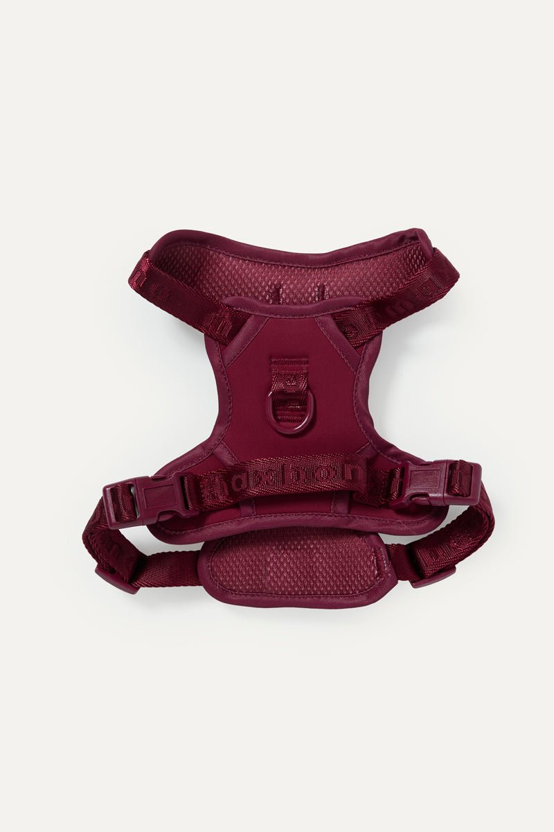 Easy Fit Harness