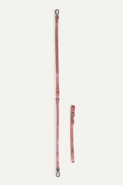 Go! With Ease Leash Bundle