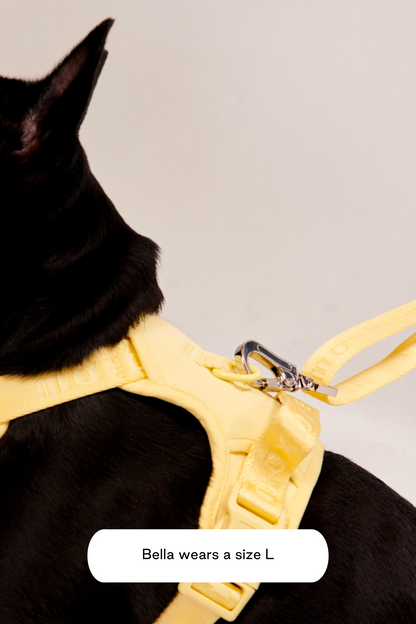 Easy Fit Harness