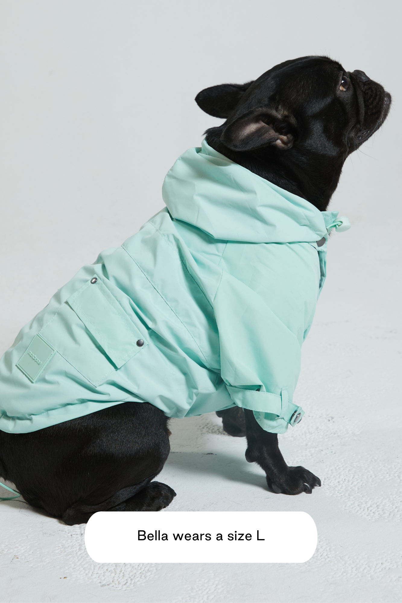 Talon Rain Jacket