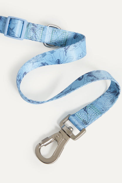 Blue Flower Walk Set