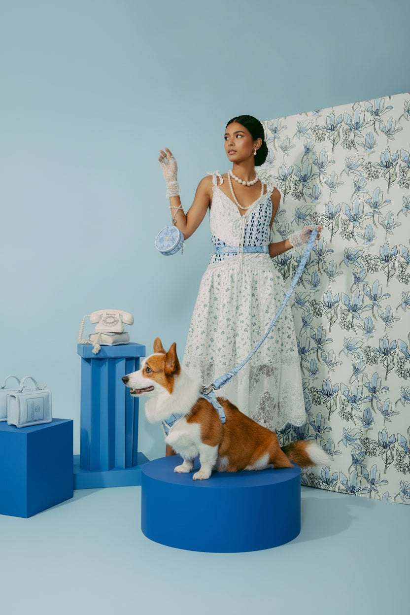 Blue Flower Walk Set