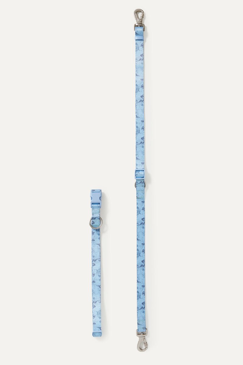 Blue Flower Walk Set