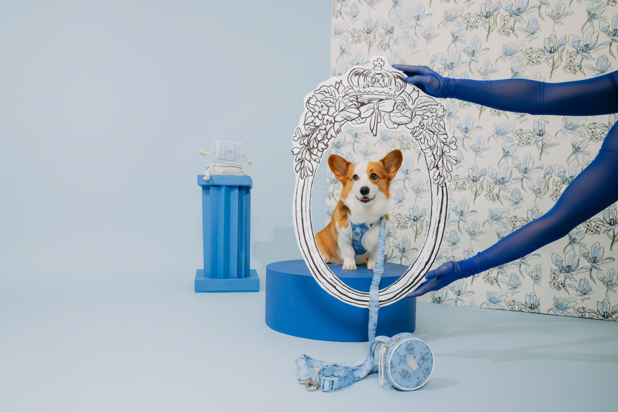 Blue Flower Walk Set