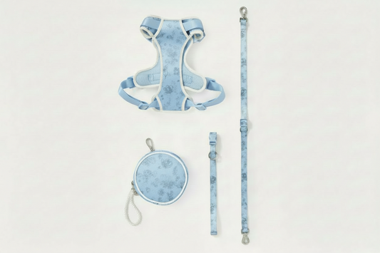 Blue Flower Walk Set