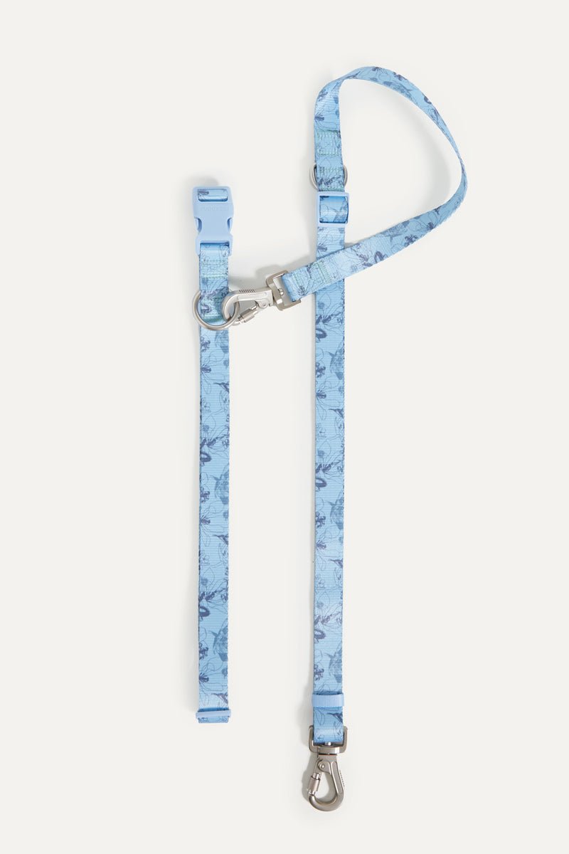 Blue Flower Walk Set