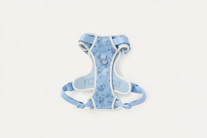 Blue Flower Walk Set