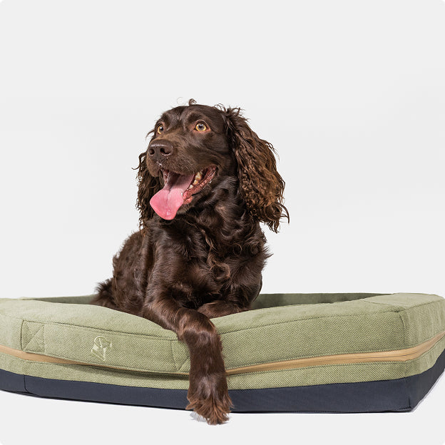HOMESTEAD DOG BED Treeline Green