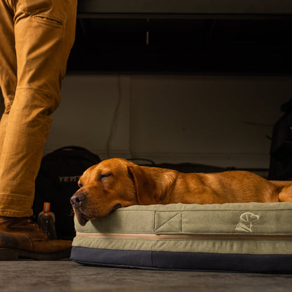HOMESTEAD DOG BED Treeline Green