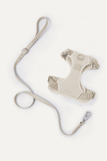 Hazel Leash Bundle
