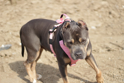 Terrain Dog Airtag Harness - Bubblegum