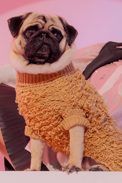 Metallic Curly Knit Sweater