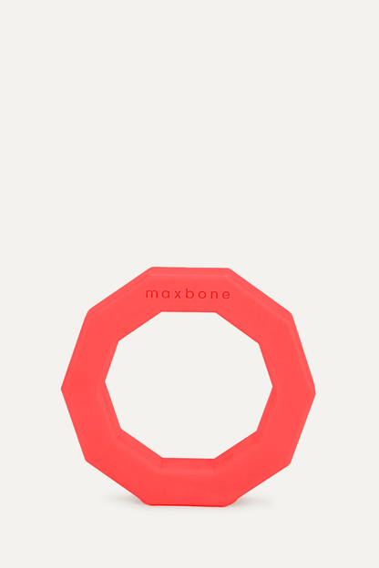 Decagon Rubber Toy