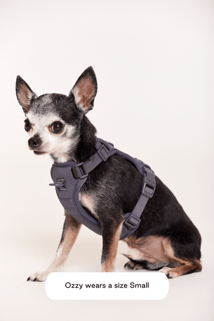 Double Panel Harness