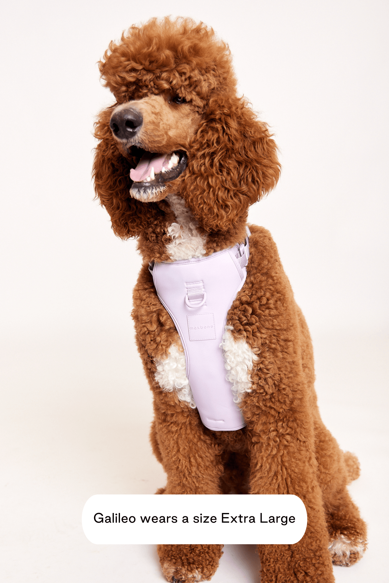 Double Panel Harness