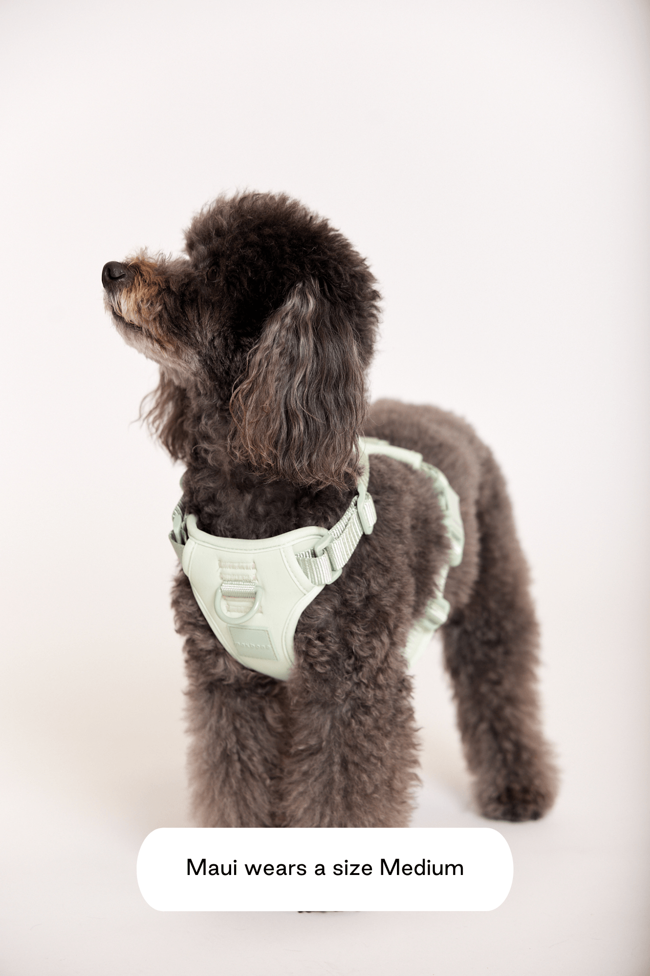 Double Panel Harness