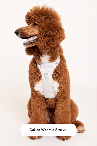 Easy Fit Harness