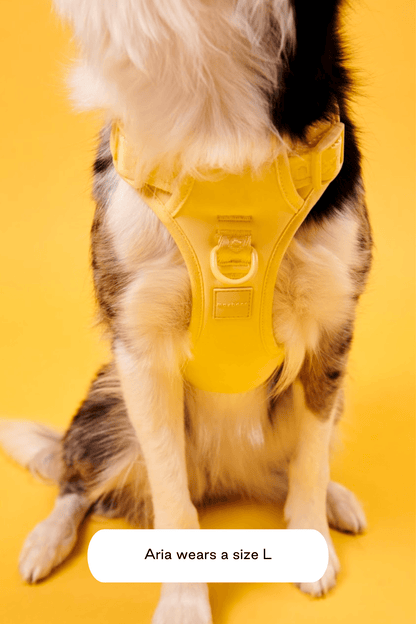 Easy Fit Harness