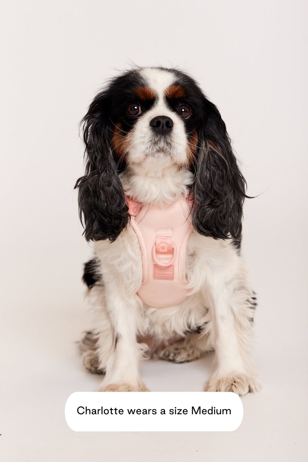Easy Fit Harness
