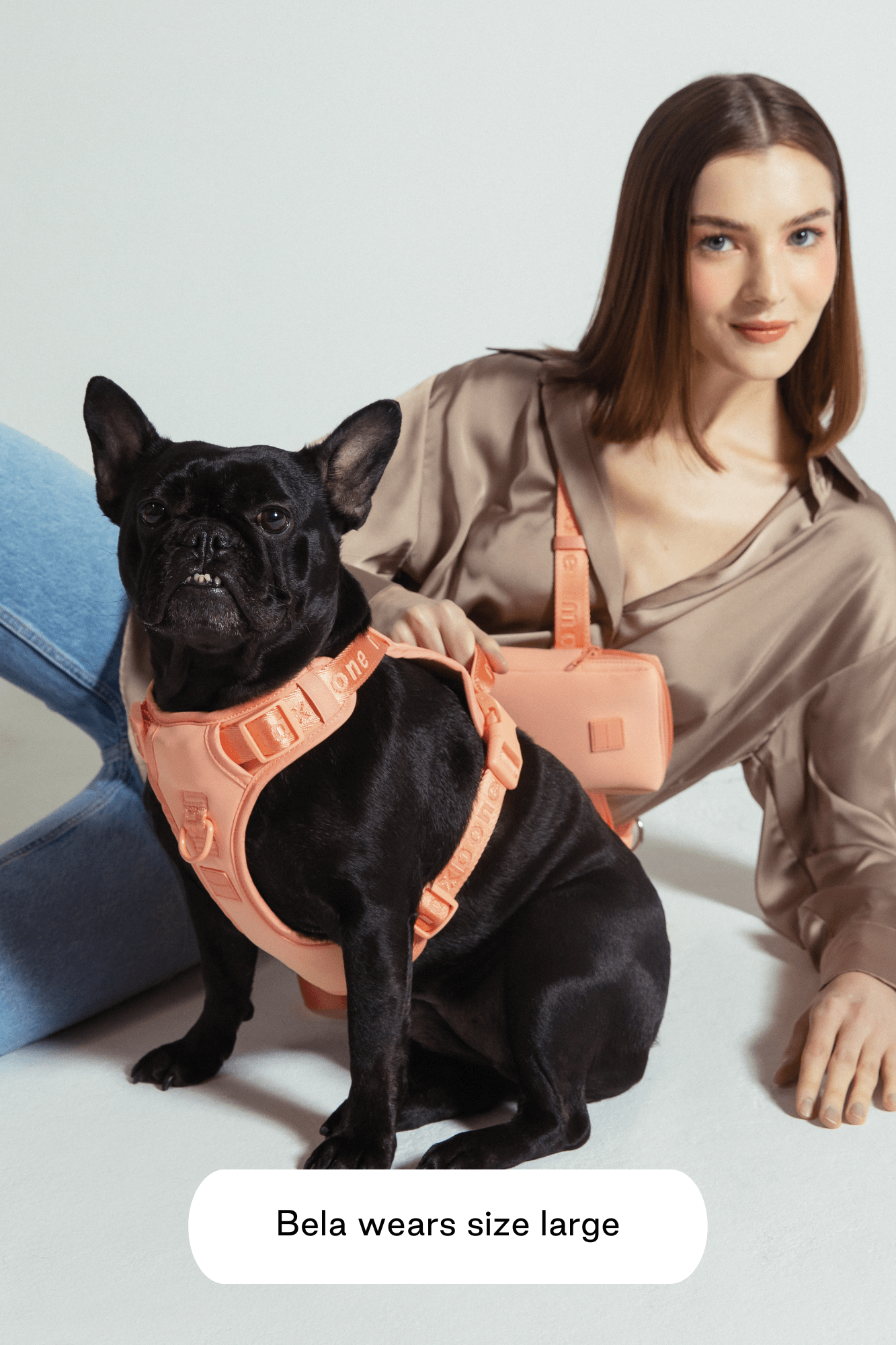 Easy Fit Harness
