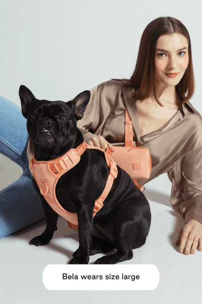 Easy Fit Harness