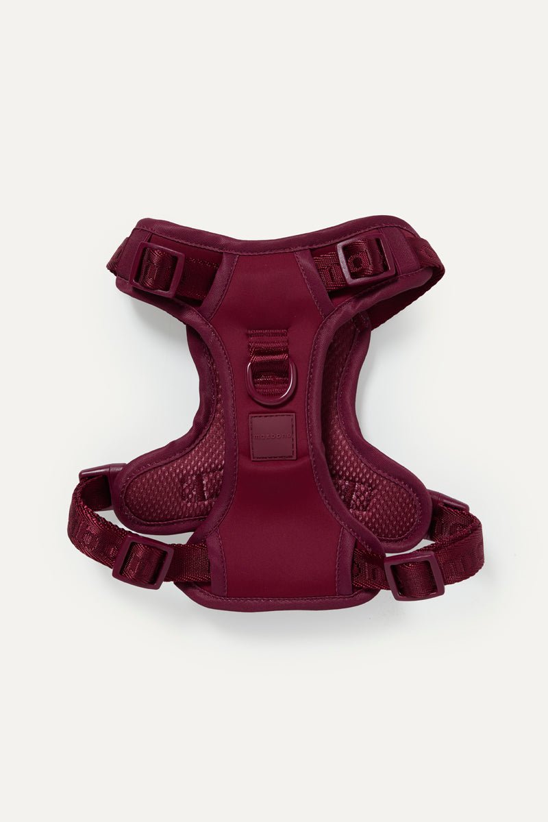 Easy Fit Harness