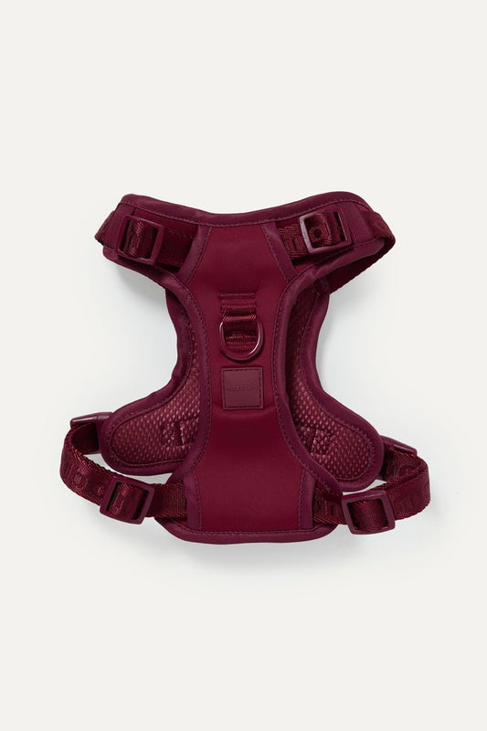 Easy Fit Harness