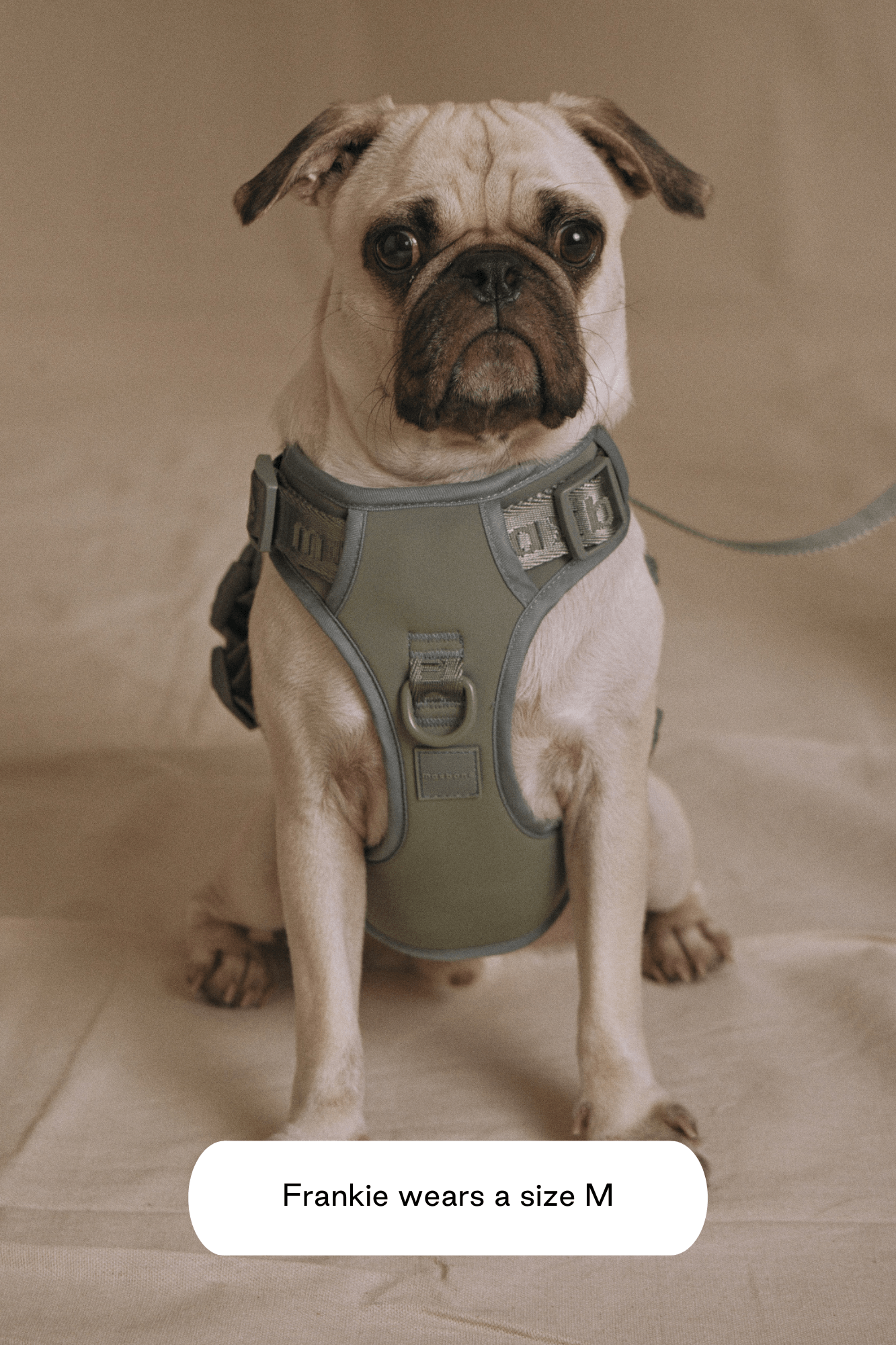 Easy Fit Harness