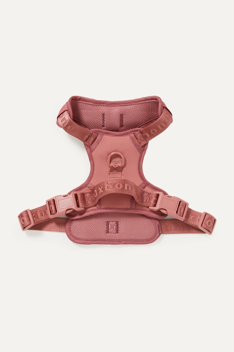 Easy Fit Harness