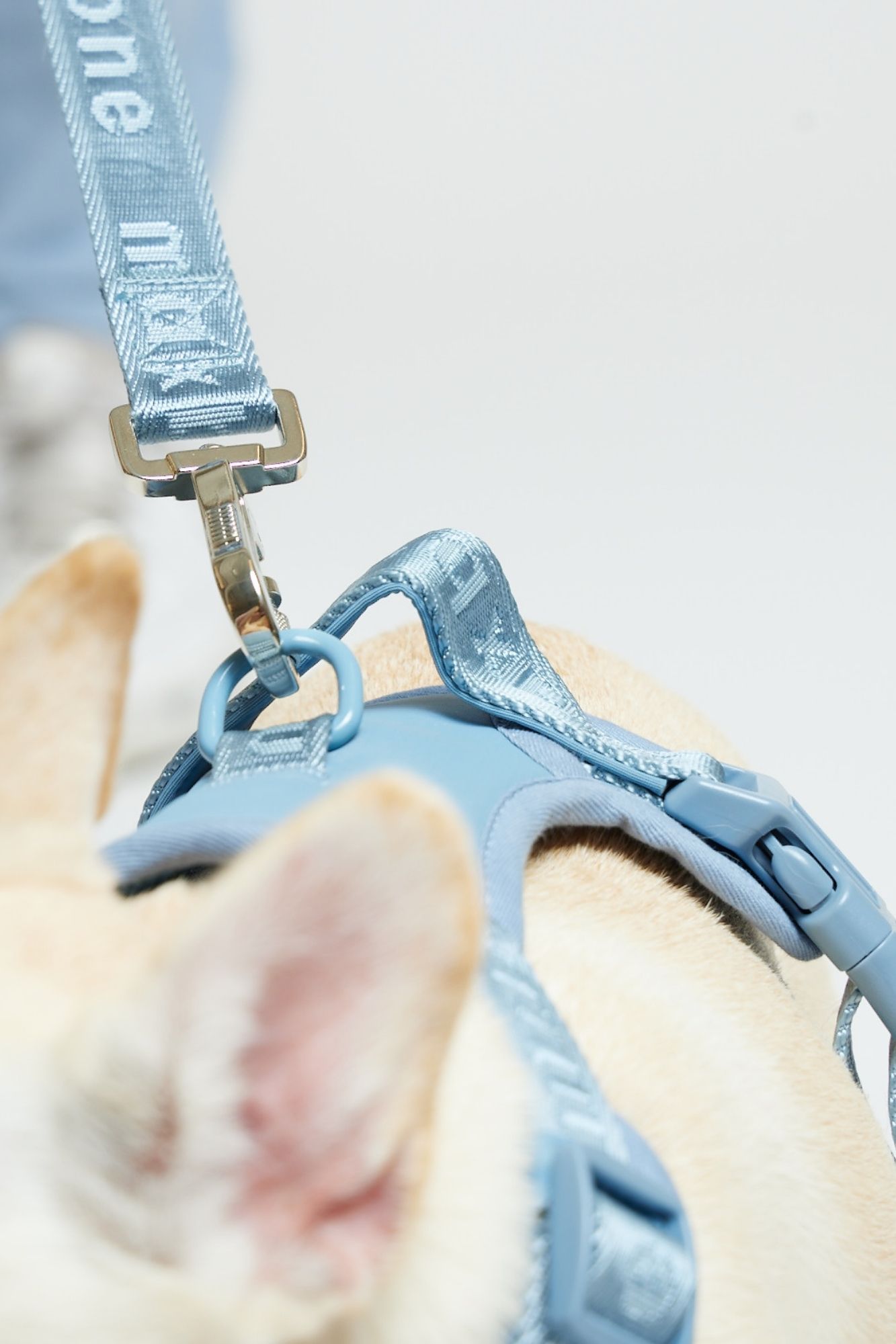 Easy Fit Harness