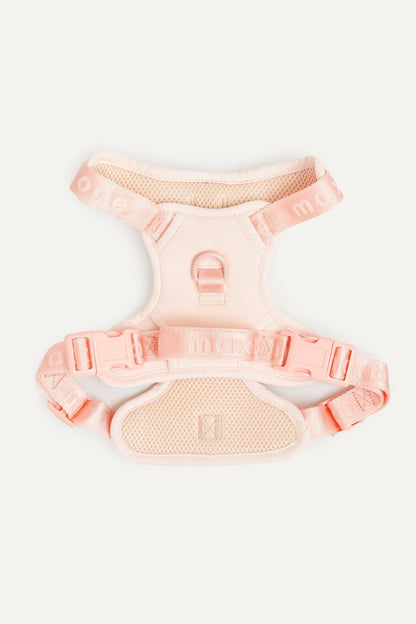 Easy Fit Harness