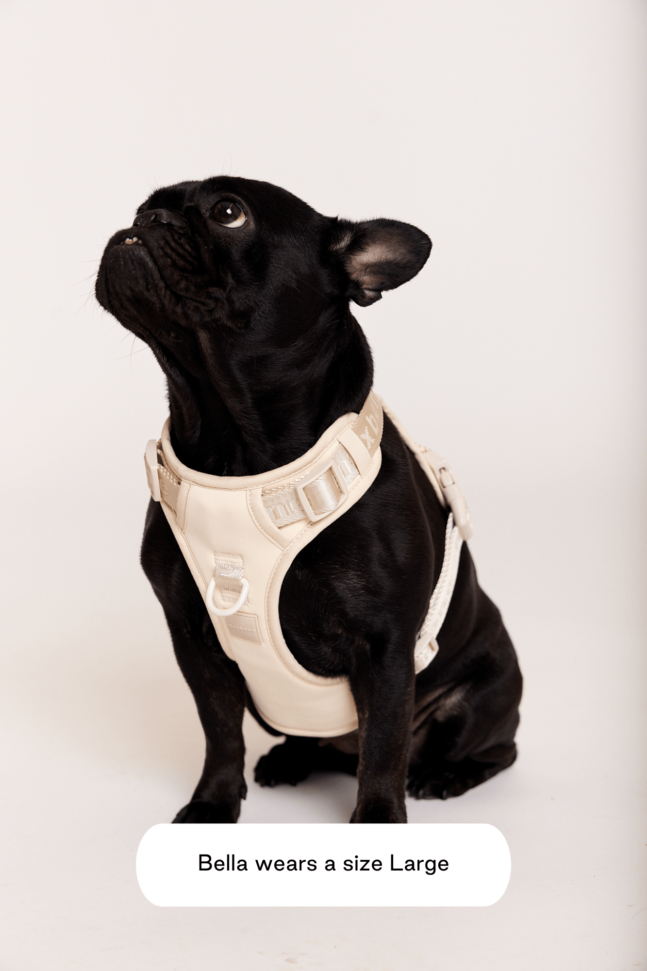 Easy Fit Harness