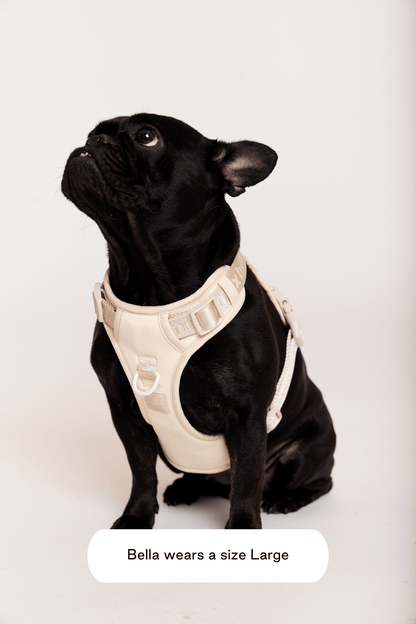 Easy Fit Harness