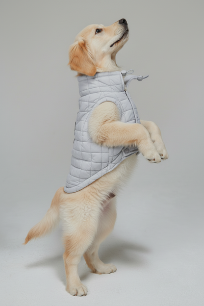 Easy Fit Jacket