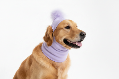 Pet Feather Balaclava