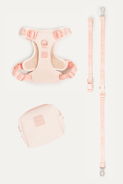 Go! With Ease Leash Bundle