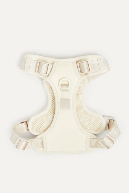 Go! With Ease Leash Bundle
