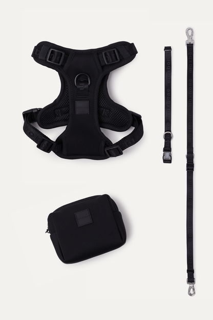 Go! With Ease Leash Bundle