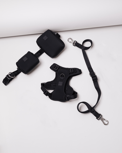 Go! With Ease Leash Bundle