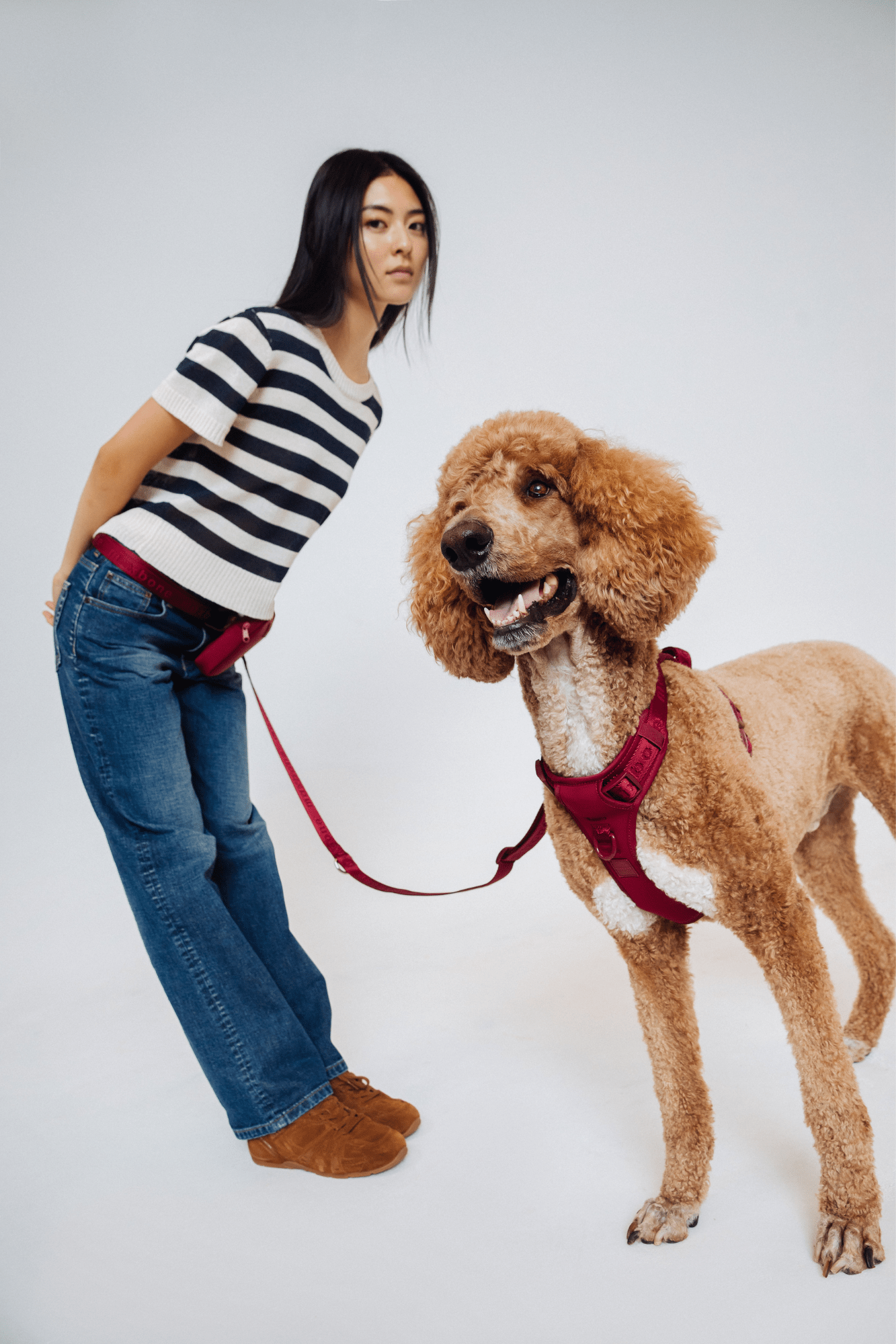GO! With Ease Hands Free Leash