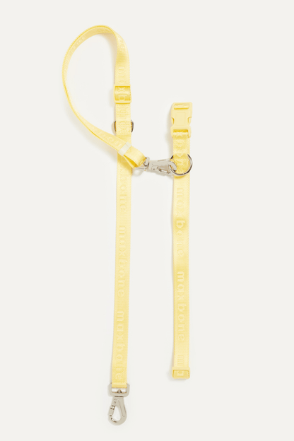 GO! With Ease Hands Free Leash
