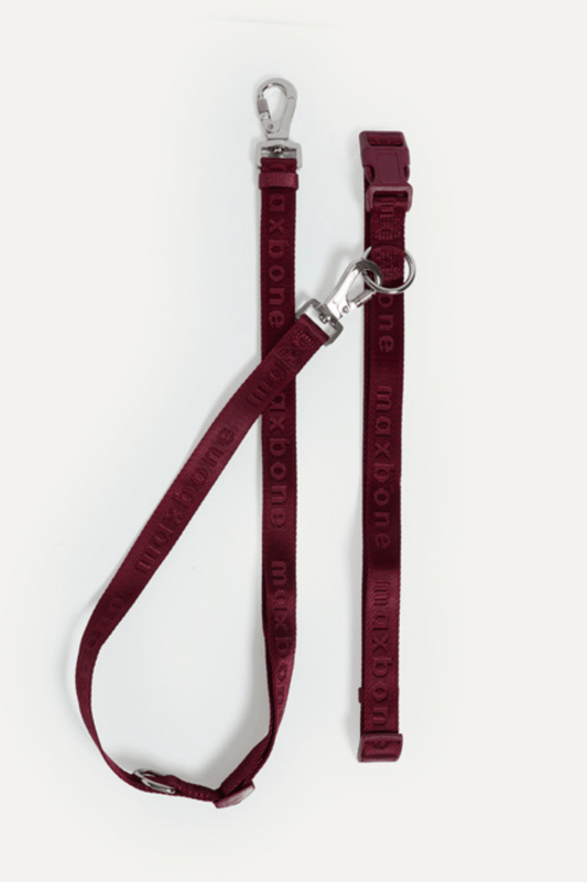 GO! With Ease Hands Free Leash