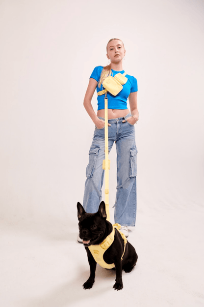 Go! With Ease Leash Bundle