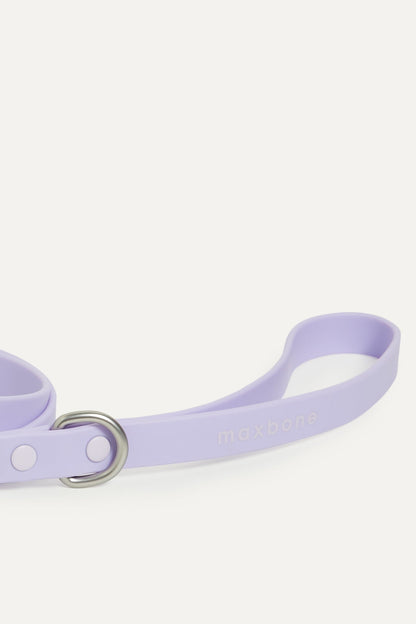 Hazel Collar Bundle