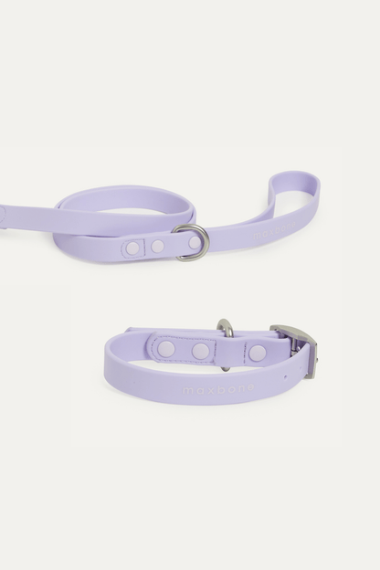 Hazel Collar Bundle