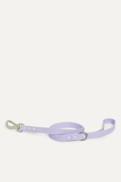 Hazel Collar Bundle