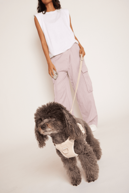 Hazel Leash Bundle