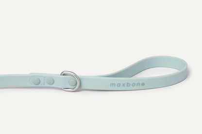 Hazel Leash Bundle