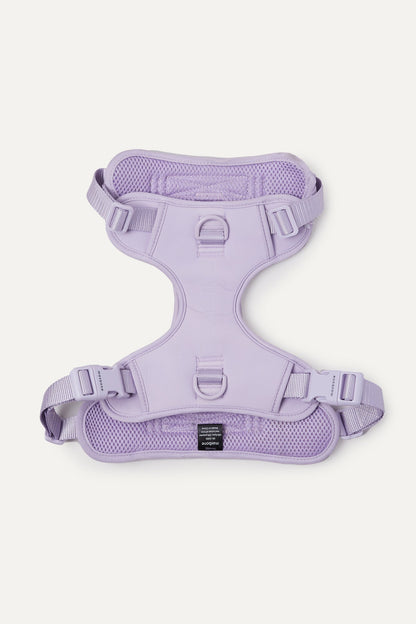 Hazel Leash Bundle